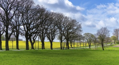 Landscape on Rügen, Mecklenburg-Western Pomerania, Germany, Europe