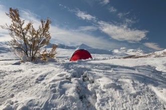 Tent in mountain landscape, Sarek National Park, Laponia World Heritage Site, Norrbotten, Lapland,