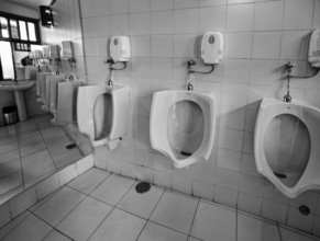 Toilet facility with urinals, cactus garden, Jardin de Cactus, designed by the artist César