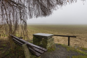 Foggy field path near Rathewalde in Saxon Switzerland, Rathewalde, Saxony, Germany, Europe