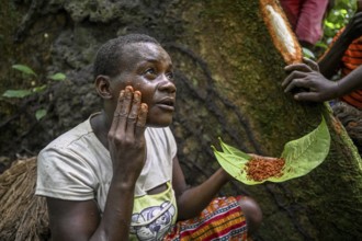 Pygmy woman of the Baka or BaAka people smearing tree bark on her face, cosmetics, Dzanga-Sangha