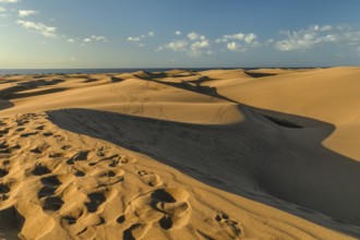 Dunes of Maspalomas, Maspalomas, Gran Canaria, Canary Islands, Spain, Maspalomas, Gran Canaria,