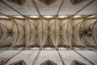 Ceiling vault of the 41.6 metre high central nave in Ulm Minster, Ulm, Baden-Württemberg, Germany,