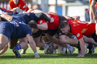 Rugby: Germany against MKS Pogon Awenta Siedlce, Poland in Heidelberg (Test match of the German