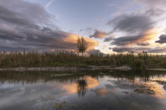 A body of water with a tree in the foreground. The water is calm and the sky is cloudy. Bas-Rhin,