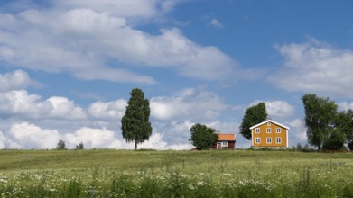 Falun red and Swedish yellow wooden house, trees, meadow, blue sky, clouds, at Lake Mjosa near