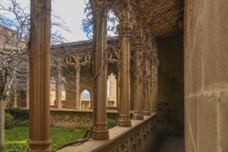 Vines creeping up the columns of a gallery in the royal palace of olite, framing the view of the