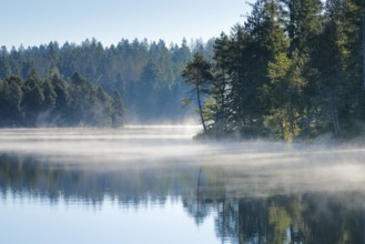 Pines and spruces line the shore of the mirror-smooth Étang de la Gruère moorland lake covered in