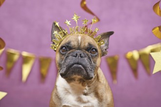 French Bulldog dog wearing New Year's Eve part headband with text 'Happy new year' in front of pink
