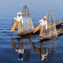 Myanmar travel attraction landmark, Traditional Burmese fishermen with fishing net at Inle lake in