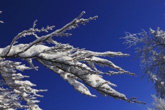 Winter landscape in the Fichtelgebirge, Bayreuth district, Upper Franconia, Bavaria, Germany,
