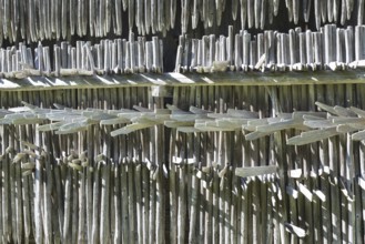 Heinzen on a barn wall, Allgäu, Bavaria, Germany, Europe