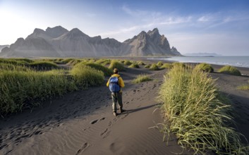 Tourist on a sand dune, Black beach with volcanic sand, Sand beach, Dunes with grass, Stokksnes