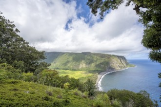 Waipi'o Valley seen from Waipi'o Valley Lookout, Big Island, Hawaii, USA, North America
