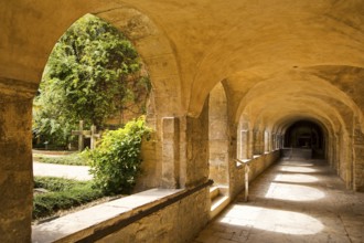 Cloister with view of the Thousand-Year Rosebush in the cemetery of St. Mary's Cathedral,