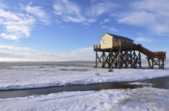 Pile dwellings in St. Peter-Ording, Schleswig-Holstein, Germany, Europe
