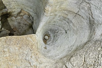 Glacier mills in the Cavaglia glacier garden, Poschiavo, Puschlav, Canton Graubünden, Switzerland,