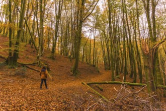 Lifestyle, a young brunette in a yellow jacket walking along the forest path in autumn. Artikutza