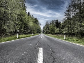 Country road with central reservation leads straight on through mixed forest, Germany, Europe