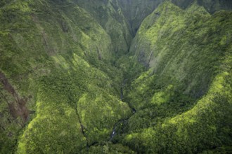 Aerial view Hanalei Valley, Kauai, Hawaii, USA, North America