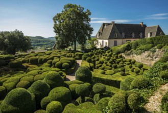 Boxwood garden, Les Jardins de Marqueyssac, Vezac, Dordogne, Périgord, Département Dordogne, Region