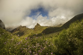 Teno Mountains, Tenerife, Canary Islands, Spain, Europe