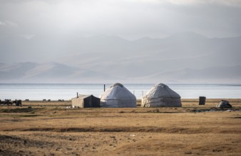 Yurts at Song Kul mountain lake in autumn, Moldo Too mountains, Naryn region, Kyrgyzstan, Asia