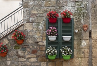 Flowerpots in colours of Italian national flag, Sorano, Tuscany, Italy, Europe