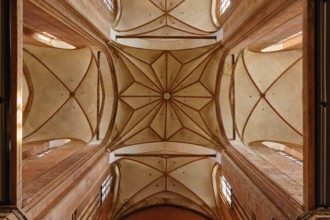 Star vault above the crossing of the Georgenkirche, Old Town Hanseatic City of Wismar,