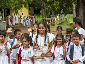 Group of school children, girls and boys in white school clothes, Dambulla, Sri Lanka, Asia