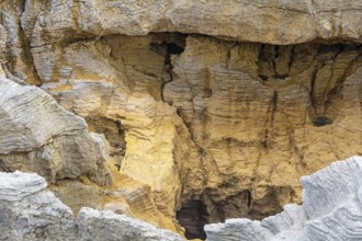 Pancake Rocks, Paparoa National Park, New Zealand, Oceania