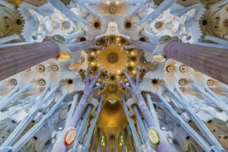 Interior view of the Familia Sagrada by the architect Antonio Gaudi in Barcelona, Spain, Europe