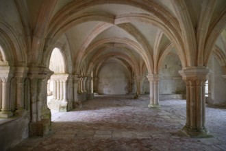 Ceiling arches, Fontenay Cistercian Abbey, Unesco World Heritage Site, Cote d'Or, Burgundy, France,