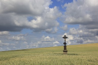 Field cross in a wheat field, near Dukovany, Czech Republic, Grain field with a lonely field cross,
