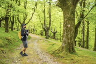 A young father walking with the newborn child in the backpack on a path in the woods heading to the