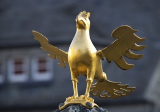Gilded imperial eagle as a fountain eagle on the market fountain, Old Town, Goslar, UNESCO World