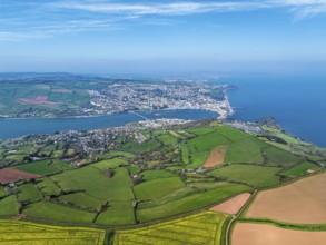 Rapeseed fields over the River Teign from a drone, Teignmouth, Shaldon, Devon, England, United