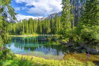 Emerald waters reflecting the majestic latemar peaks and surrounding pine forests under a blue sky