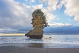Rock formation shaped like a boot, Punakaiki, Paparoa National Park, South Island, New Zealand,