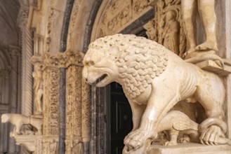 Lion at Radovan's portal of the Cathedral of St Lawrence in Trogir, Croatia, Europe