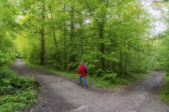 Symbolic image Hiking with smartphone and hiking app, navigation on hiking trails, digital hiking