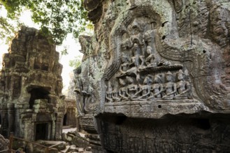 Ta Prohm, Angkor Wat, Angkor, UNESCO World Heritage Site, Siem Reap, Cambodia, Indochina, Southeast