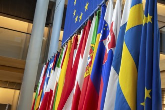 Flags of the member states of the European Union in the EU Parliament in Strasbourg, France, Europe