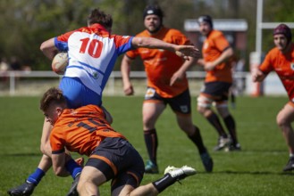 Rugby 1st Bundesliga South/West, Season 2024/25, Matchday 10: RG Heidelberg vs Heidelberger