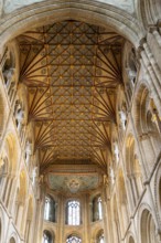 Interior of cathedral church, Peterborough, Cambridgeshire, England, UK looking up at ceiling