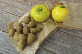 Chaerophyllum bulbosum, chervil turnip, chervil bulb, healthy root, courgette (Cucurbita pepo subsp