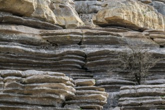 Bizarre limestone rock formations, El Torcal nature reserve, Torcal de Antequera, Malaga province,