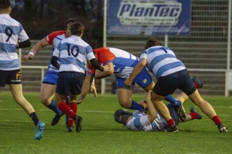 Rugby 1st Bundesliga South/West, season 2024/25, matchday 7 (catch-up match) : Heidelberger