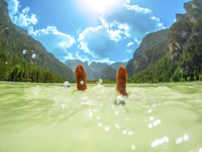 Feet of a tourist floating in the turquoise water of lago di landro, surrounded by the breathtaking