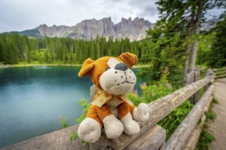 Plush dog sitting on a wooden fence, admiring the breathtaking view of lake carezza with the
